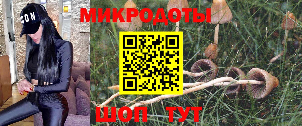 Ртищево  Псилоцибиновые грибы MAGIC MUSHROOMS  Вход с VPN 